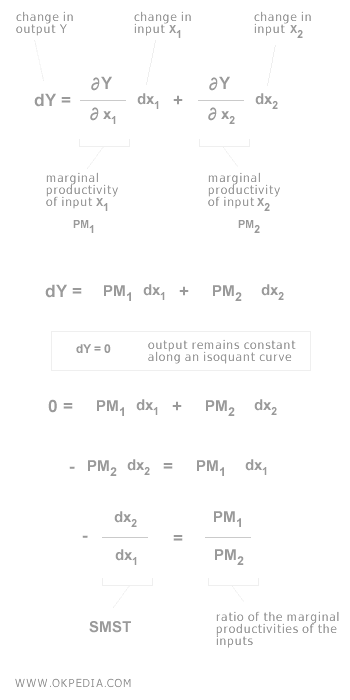 MARGINAL RATE OF TECHNICAL SUBSTITUTION AND FACTOR PRODUCTIVITY