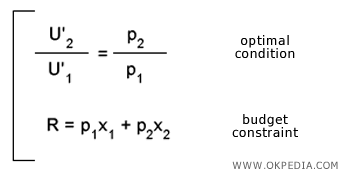 SYSTÈME D'ÉQUATIONS DU CHOIX OPTIMAL